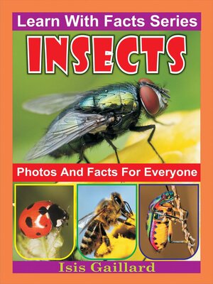 cover image of Insects Photos and Facts for Everyone